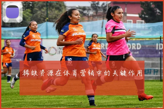稀缺资源在体育营销中的关键作用