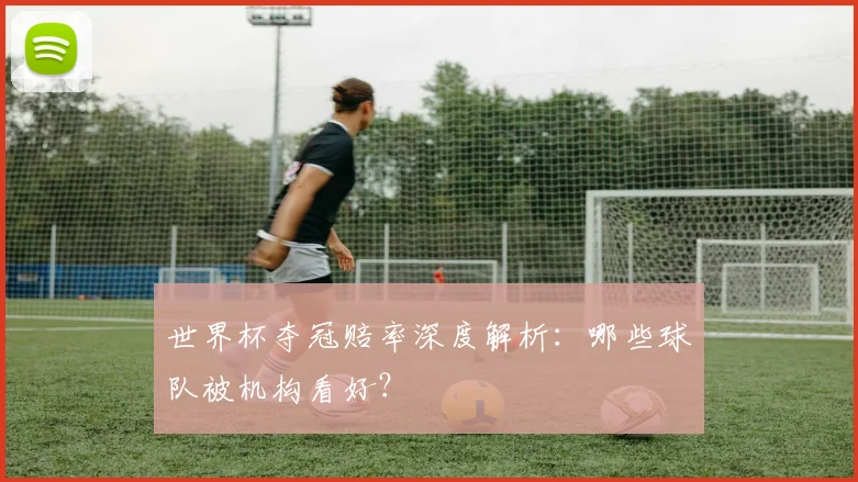 世界杯夺冠赔率深度解析：哪些球队被机构看好？
